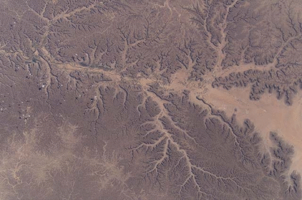 Figure 1: Fossil dendritic drainage pattern in the Republic of South Yemen, near the Rubh-al-Khali sand sea
