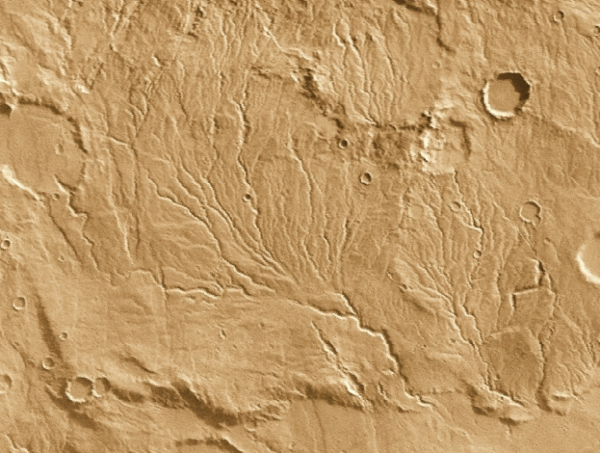 Figure 2: Drainage patterns on Mars, so called valley networks are less developed than typical terrestrial drainage systems.