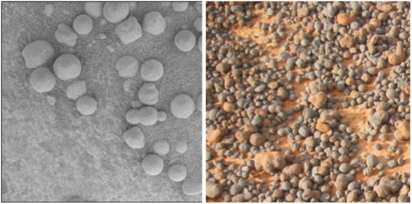 Figure 2: Earth or Mars? Blueberry-size concretions of haematite found by the MER rover Opportunity (left) have been interpreted as products of diagenesis on the basis of their analogy to haematite "marbles" found in Utah (right). From Catling [2004].